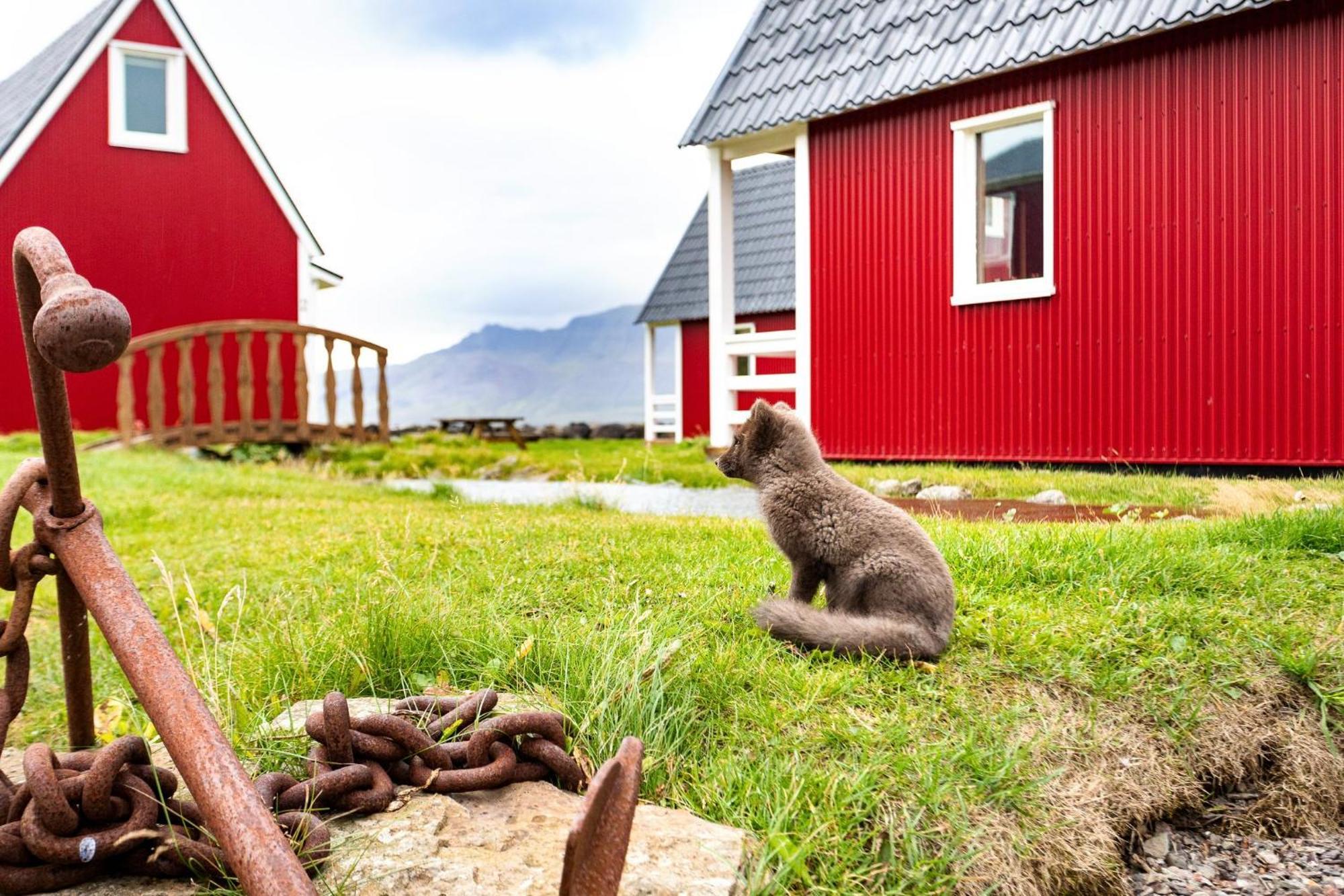 Mjoeyri Travel Holiday Homes Eskifjörður Exterior foto